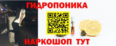 крисы Тара
